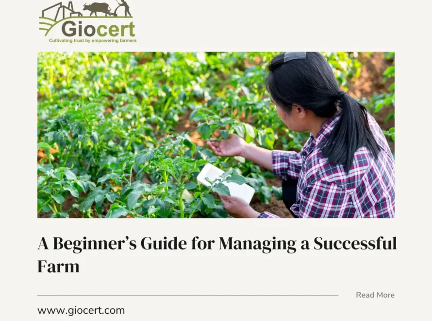 A Beginner’s Guide for Managing a Successful Farm