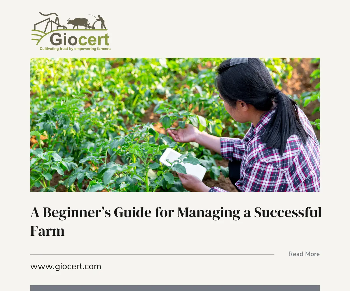 A Beginner’s Guide for Managing a Successful Farm