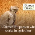 A farmer is a person who works in agriculture