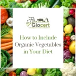 How to Include Organic Vegetables in Your Diet