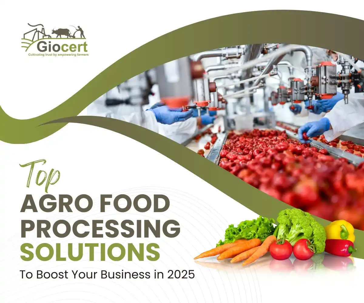 Agro Food Processing